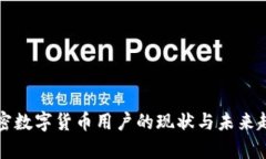 全球加密数字货币用户的现状与未来趋势解析
